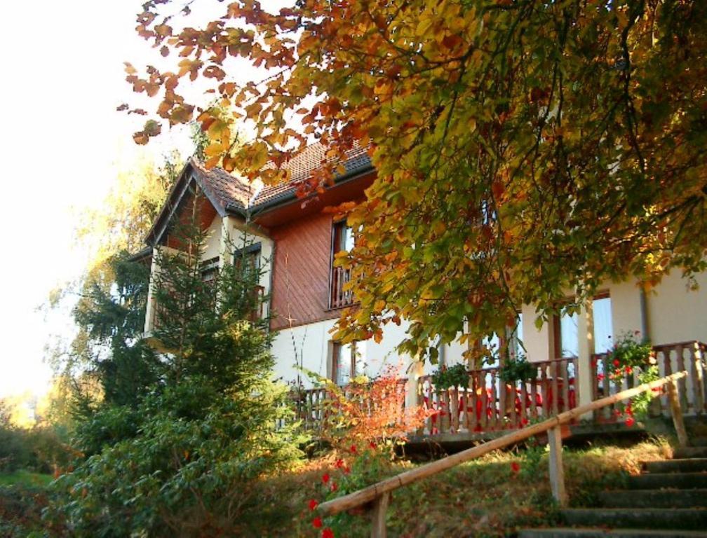 Le Chalet Luttenbach-près-Munster Exterior foto